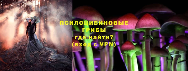 гашик Киреевск