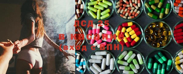 прущие крисы Киренск