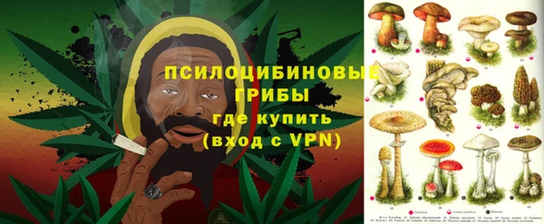 ешки Кодинск