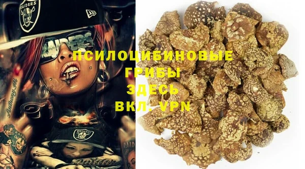 прущие крисы Киренск