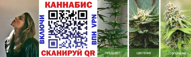 Купить закладки  Далматово  Канабис гибрид 